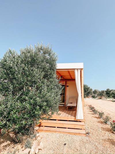 Diamond Coast Mobile Home