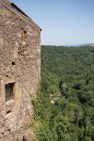 Il Carisma