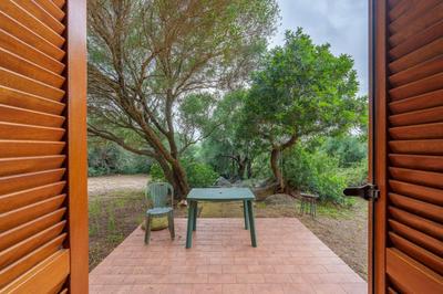 Lu Stazzu di Tarraolta 6