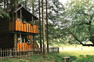 Treehouse KUPARI Nacionalni park Risnjak