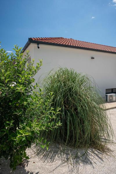 Villa Activitas - Professional Fitness & Pool