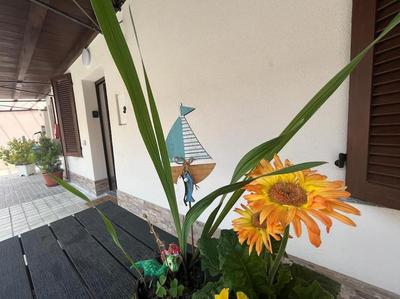 Green Villa - CityDoor