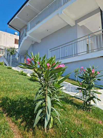 City View Apartments