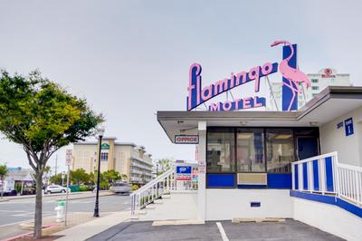 Flamingo Motel, 写真 2