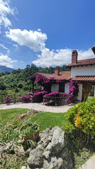 Apartamentos La Güertona