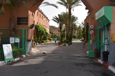 Riad Alaoui G1 Bis