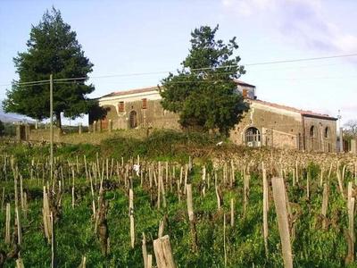 Casale degli Zappini
