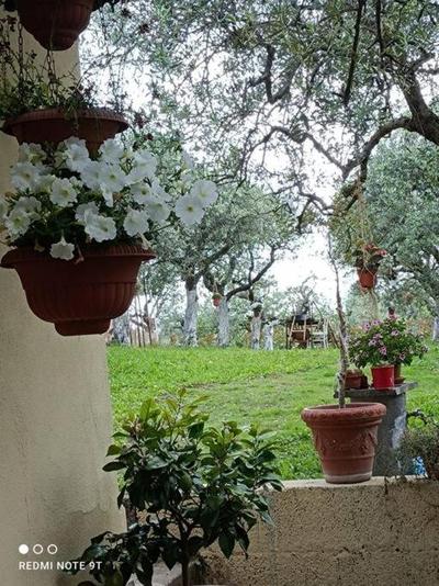 Home Il Cortiglione