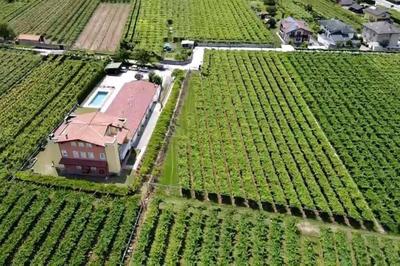 Fra i castelli della Vallagarina