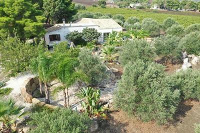 Casale Dell Ulivo - A cottage near the sea and mountains