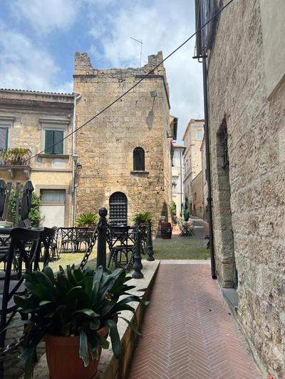 All’ombra del museo