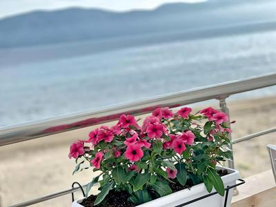 SeaView Apartments Rental Vlore
