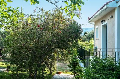 Anemona studio C