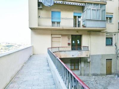 Il giardino degli agrumi