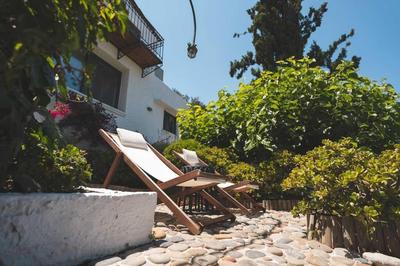Labyrinth. The Wild life of Crete