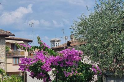 casa degli ulivi a Toscolano - House with garden near the beach cir LNI00059
