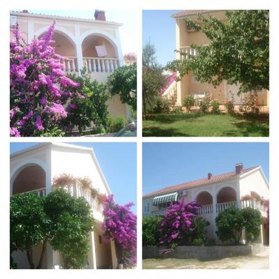 Apartmani Nena