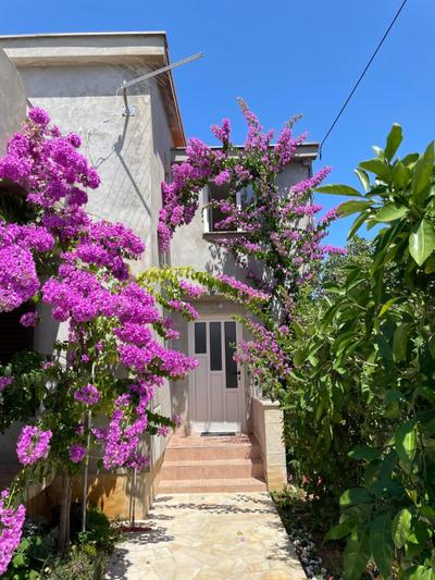 Apartments Flowers - by TA Leut Agency
