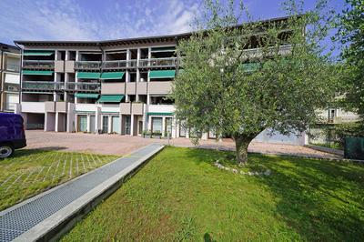 Garofano P1-9 by Wonderful Italy