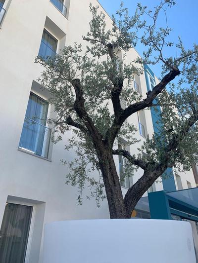 Biancodonda Greenblu Hotel & SPA