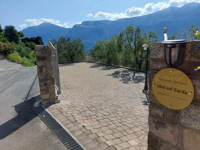 Ulivi sul Garda Garden by Gardadomusmea