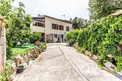 San Pantaleo - Coral Apartment 2