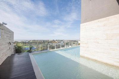 Libertador Complete Suite