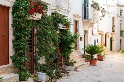 Youse - Your House in Locorotondo