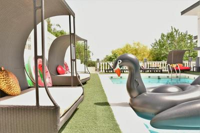 Kiwidestiny Alicante