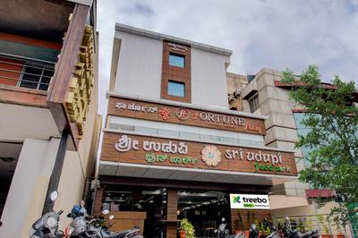 Treebo Fortune Stay Inn