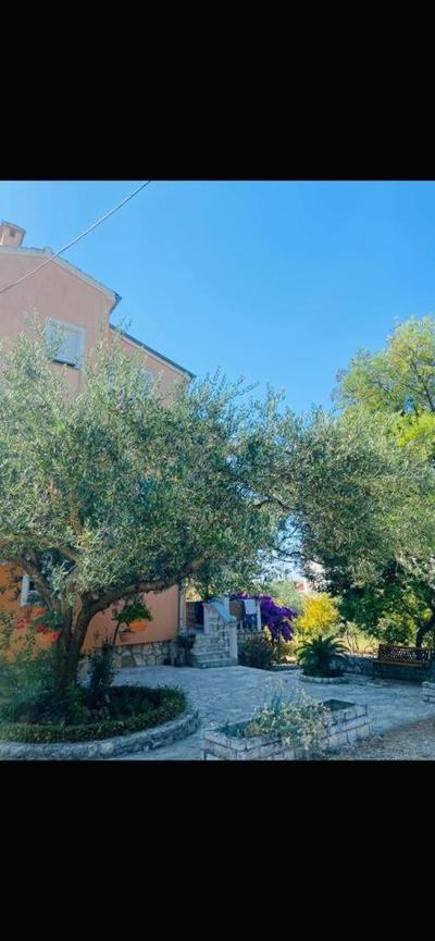 Apartman Nauplie