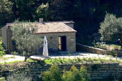 Tiny-House im Olivenhain - 1km zum Strand- Cilentissimo
