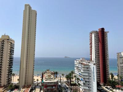 Ducado 13 Playa Benidorm