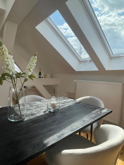Luxurious Penthouse - Berlin Mitte (Center of Berlin)