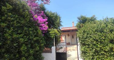 Olive Grove Cottage Skalani