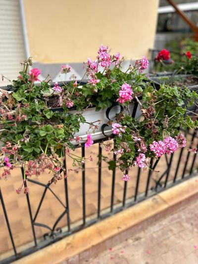 Casa con Giardino Centro Sciacca
