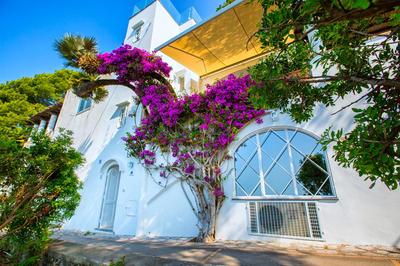 Faraglionensis MonaconeHouse Apartment