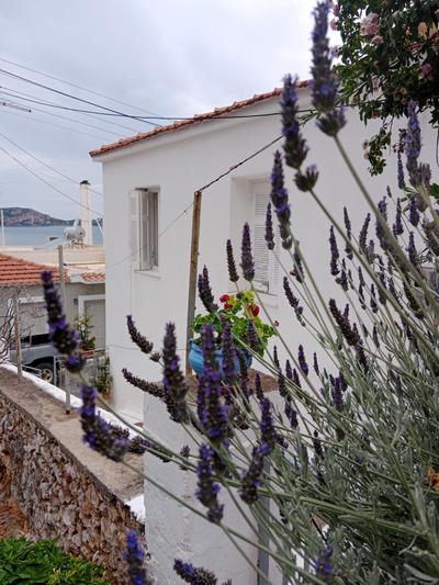 George Traditional House