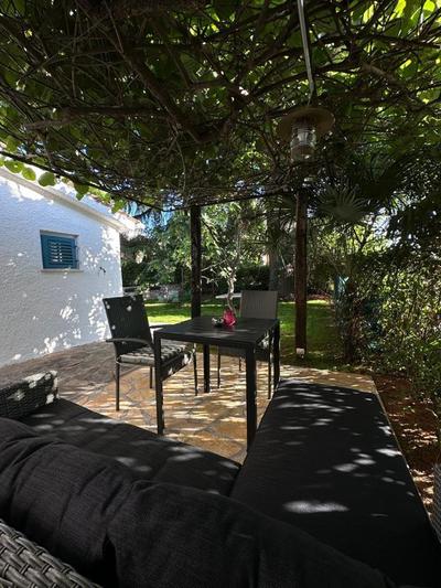 Apartments with garden in the city center