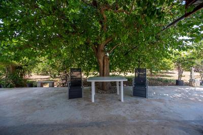 Il Limoneto di Nonno Corrado