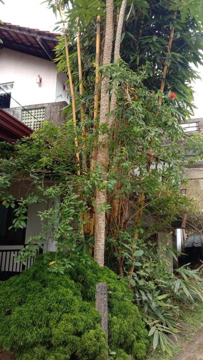 Chameera guest house