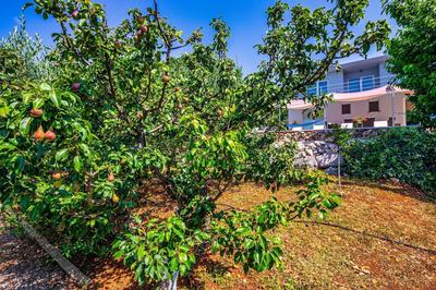 Organic Gardens
