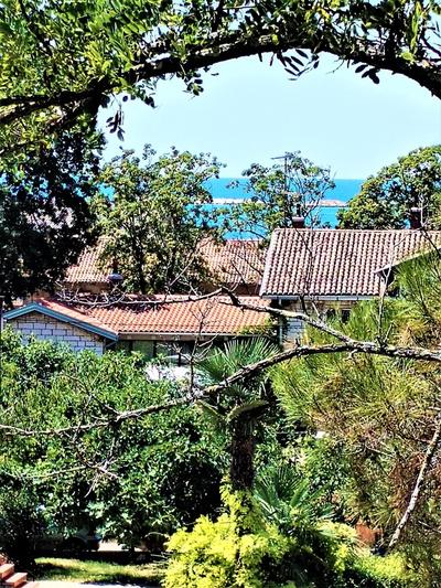 Apartman Iva