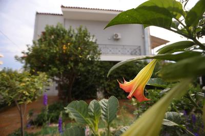 House in riviera lagonisi