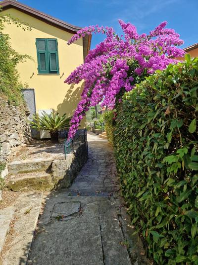 Giardino panoramico sul mare, un angolo di liguria