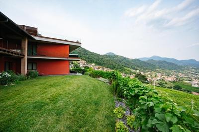 Agriturismo Podere Cavaga Lago d'Iseo Agribio Winery