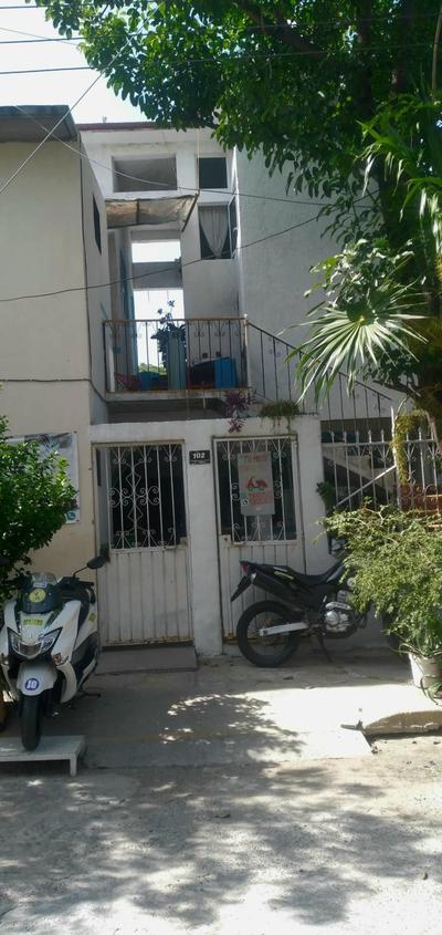 Quinta paloma