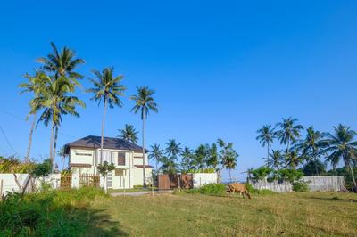 Kamana Beach House
