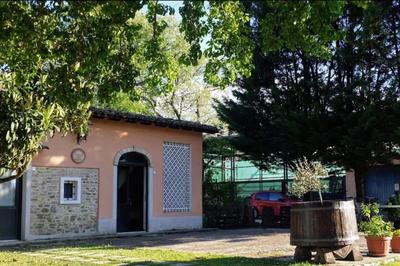 Casa singola con piscina