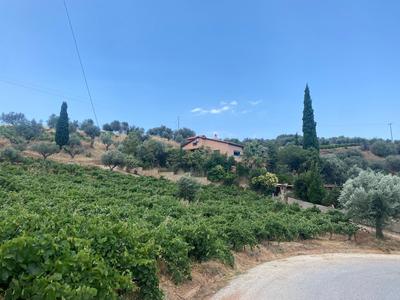Greek Tuscany Vasiliki's Home